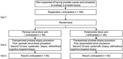 Anaesthesia in PROstate Biopsy Pain Obstruction Study: A Study Protocol for a Multicentre Randomised Controlled Study Evaluating the Efficacy of Perineal Nerve Block in Controlling Pain in Patients Undergoing Transperineal Prostate Biopsy